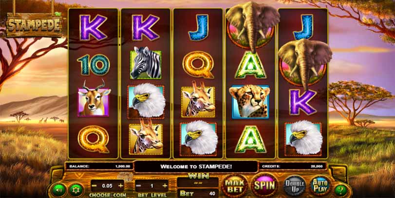 Stampede Slot Game Freeplay