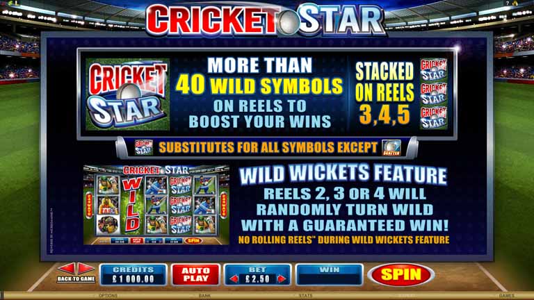 Cricket Star Slot Paytable