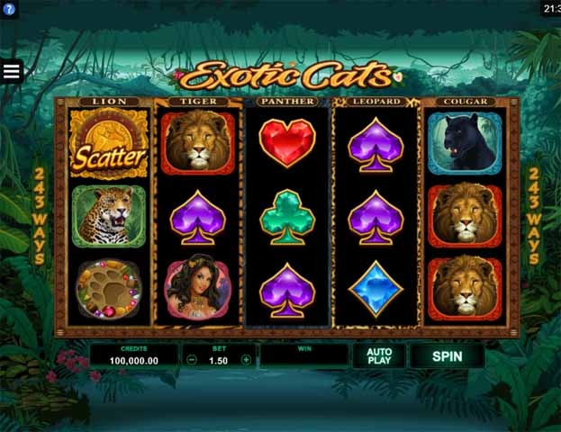 Exotic Cats Slot Freeplay