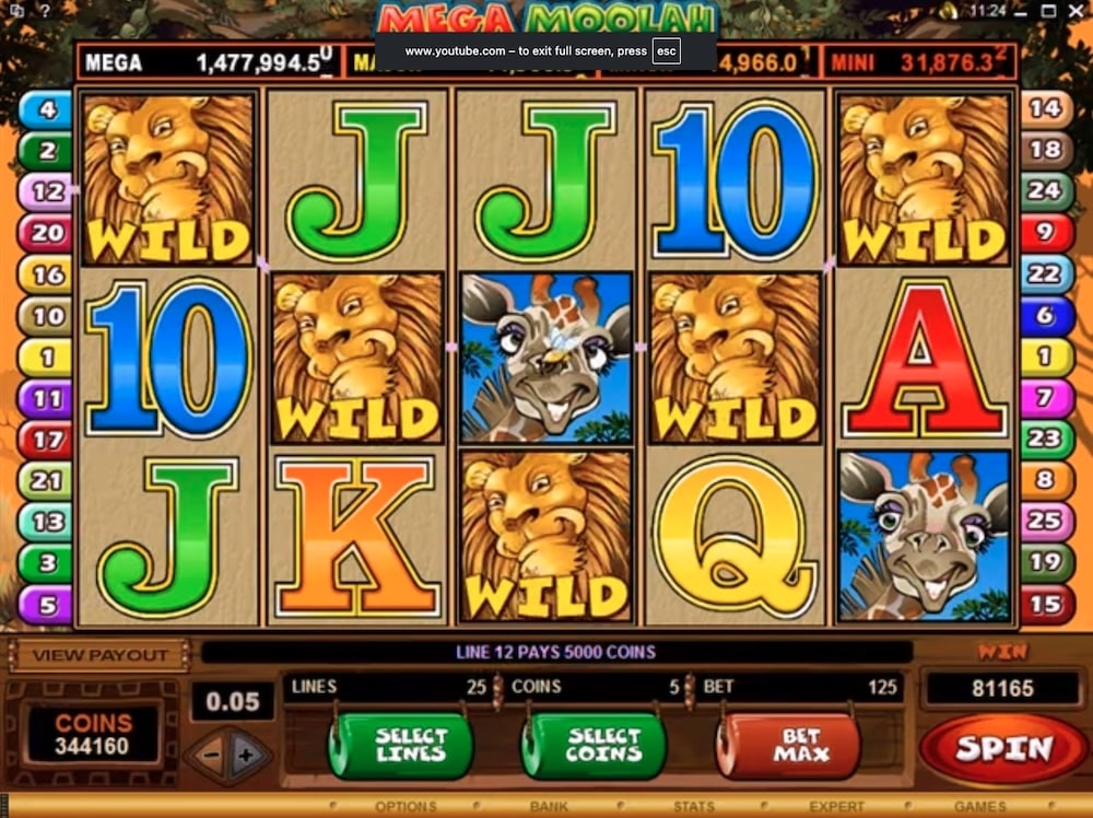 Mega Moolah Slot Game